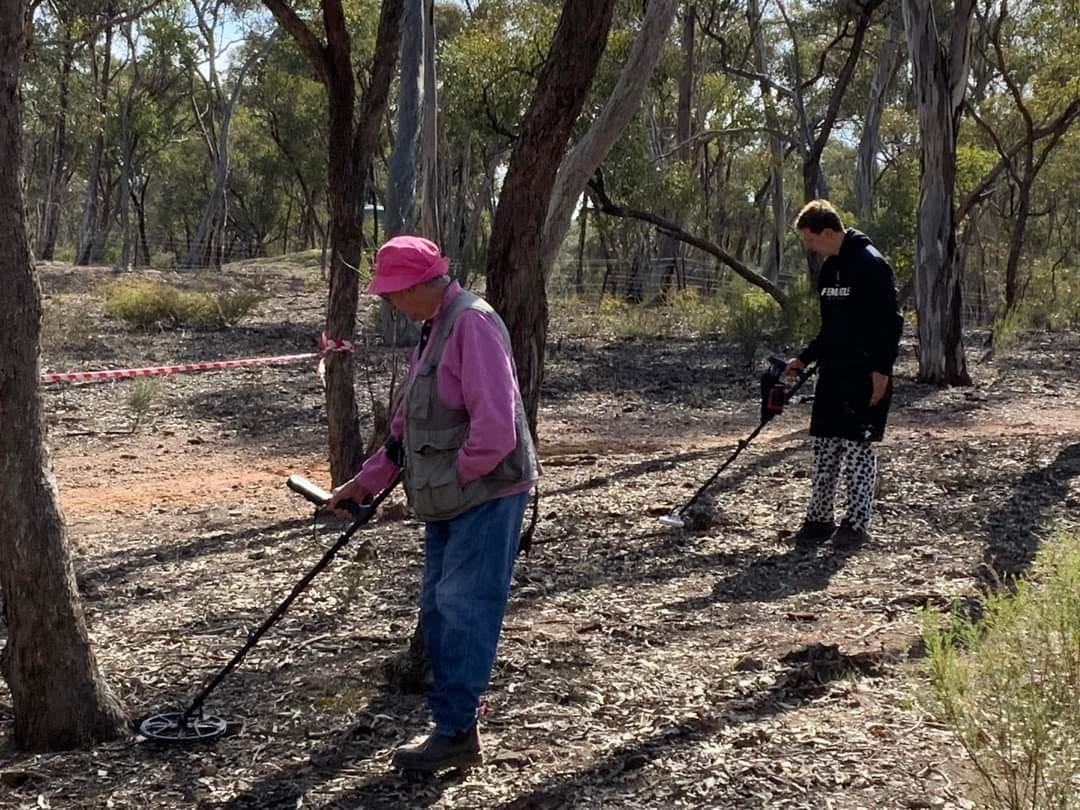 Visitors metal detecting during the Gold Bash